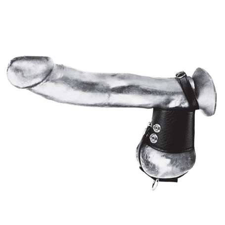 Ремешок для пениса и мошонки BlueLine